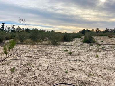 Vacant Land / Plot For Sale in Hopefield, Hopefield