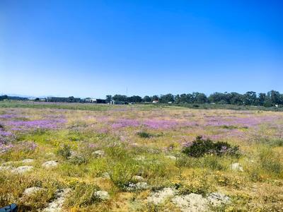 Vacant Land / Plot For Sale in Hartebeesfontein, Mangaung